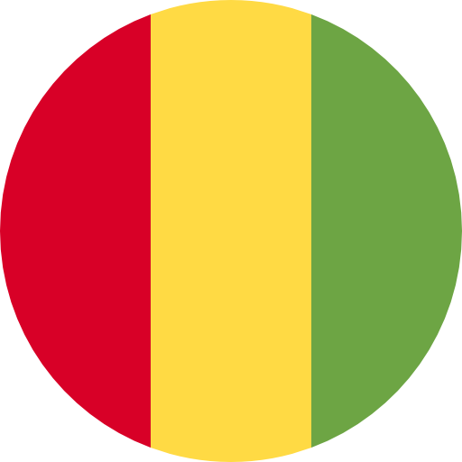Guinea round logo